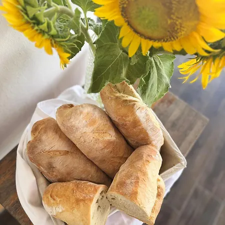 Residenza Il Capitano